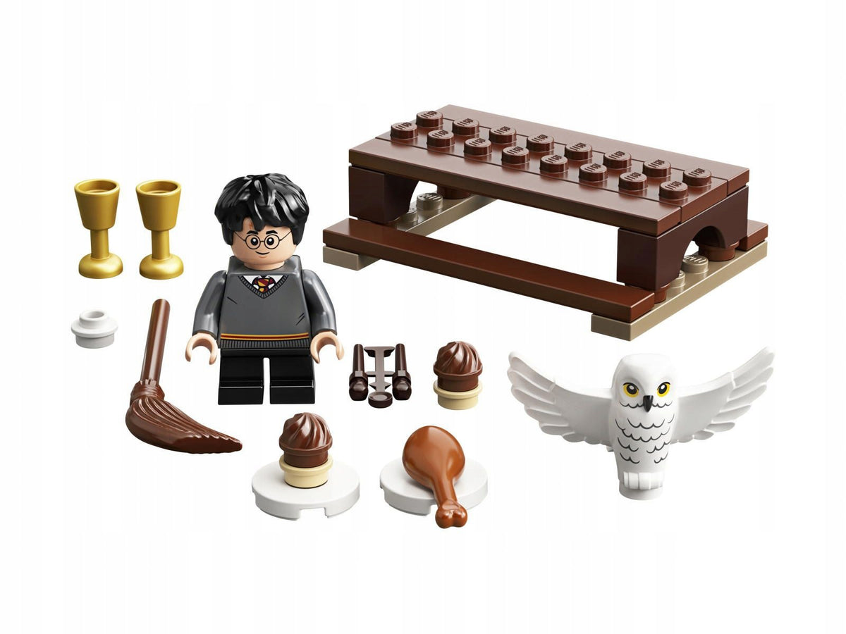 LEGO 30420 Harry Potter - Harry Potter i Hedwiga